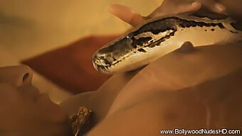 Ebony Goddess Rises To Glory In Sensual Snake Charmer Video