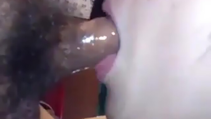 Amateur Asian Takes Sloppy Mouthful Of Cum